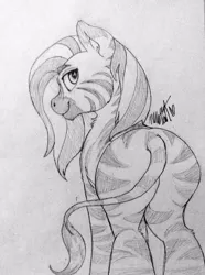 Size: 716x960 | Tagged: artist:ivory crescent, derpibooru import, male, monochrome, oc, oc:ziya, plot, solo, suggestive, traditional art, unofficial characters only, zebra