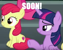 Size: 926x740 | Tagged: suggestive, derpibooru import, apple bloom, twilight sparkle, twilight sparkle (alicorn), alicorn, pony, bedroom eyes, cutie mark, female, filly, image macro, implied foalcon, mare, meme, soon, the cmc's cutie marks, twilight is a foal fiddler