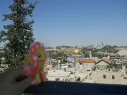 Size: 3264x2448 | Tagged: artist:zoomzoom11, brushable, derpibooru import, dome of the rock, fluttershy, irl, israel, jerusalem, photo, ponies around the world, safe, toy