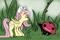 Size: 678x454 | Tagged: artist:hoshikokin, blushing, bow, derpibooru import, eyes closed, fluttershy, grass, hair bow, insect, ladybug, micro, safe, tiny, tiny ponies