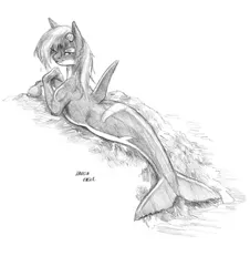 Size: 1300x1440 | Tagged: artist:baron engel, bedroom eyes, derpibooru import, dolphin, grayscale, hybrid, merpony, monochrome, oc, oc:marina (efnw), orca, orca pony, original species, pencil drawing, safe, seashell, solo, traditional art, unofficial characters only