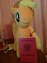 Size: 960x1280 | Tagged: :3, applejack, artist:onlyfactory, bootleg, derpibooru import, irl, passport, photo, plushie, russian, safe, solo, toy