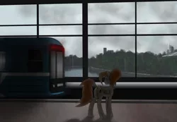 Size: 2886x2000 | Tagged: safe, artist:subway777, derpibooru import, oc, oc:ray muller, unofficial characters only, pegasus, pony, 81-717/714, bridge, luzhniki arena, metro, moscow, park, plot, rain, river, russia, subway, train, train station