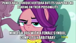 Size: 800x450 | Tagged: safe, derpibooru import, edit, edited screencap, screencap, spoiled rich, pony, bloom and gloom, crusaders of the lost mark, newbie dash, bitch, image macro, meme, reference, solo, spoiled bitch, vertebrae