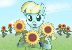 Size: 1489x1025 | Tagged: safe, artist:bluemeganium, derpibooru import, helia, pegasus, pony, cute, female, flower, freckles, grass, heliadorable, looking at you, mare, open mouth, prone, smiling, solo, sunflower