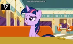 Size: 728x436 | Tagged: safe, derpibooru import, screencap, beaude mane, joan pommelway, twilight sparkle, twilight sparkle (alicorn), alicorn, earth pony, pony, the saddle row review, :p, background pony, bandicam, cafe, cute, discovery family logo, female, lidded eyes, male, mare, smiling, solo focus, stallion, tongue out, twiabetes