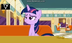 Size: 728x436 | Tagged: safe, derpibooru import, screencap, beaude mane, joan pommelway, twilight sparkle, twilight sparkle (alicorn), alicorn, earth pony, pony, the saddle row review, background pony, cafe, discovery family logo, female, joan holloway, male, mare, stallion