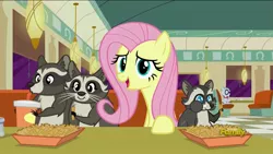 Size: 1920x1080 | Tagged: derpibooru import, discovery family logo, fluttershy, food, french fries, hay fries, mr. waddle, raccoon, safe, screencap, smoky, smoky jr., softpad, the saddle row review