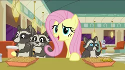 Size: 1920x1080 | Tagged: derpibooru import, diner, discovery family logo, fluttershy, food, french fries, hay fries, mr. waddle, raccoon, safe, screencap, smoky, smoky jr., soda, softpad, the saddle row review