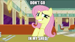 Size: 888x499 | Tagged: derpibooru import, edit, edited screencap, faic, fluttershed, fluttershy, image macro, meme, .mov, mr. waddle, safe, screencap, shed.mov, the saddle row review