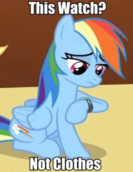 Size: 458x592 | Tagged: caption, derpibooru import, edit, edited screencap, image macro, meme, not clothes, rainbow dash, safe, screencap, the saddle row review, too many pinkie pies, watch