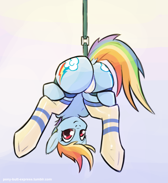Size: 1185x1292 | Tagged: questionable, artist:pony-butt-express, derpibooru import, rainbow dash, bent over, bondage, both cutie marks, cameltoe, clothes, cute, dashabetes, dock, female, hanging, image, looking at you, looking between legs, panties, plot, png, rainbutt dash, smiling, socks, solo, solo female, striped socks, suspended, underwear, upside down, white underwear