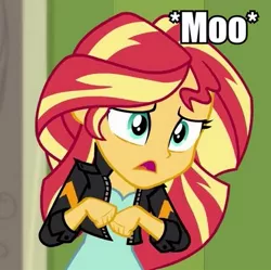 Size: 401x400 | Tagged: safe, derpibooru import, sunset shimmer, equestria girls, animal noises, behaving like a cow, image macro, meme, moo