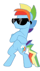 Size: 669x1192 | Tagged: artist:starryoak, derpibooru import, may the best pet win, radical, rainbow blitz, rainbow dash, rule 63, safe, simple background, solo, sunglasses, transparent background