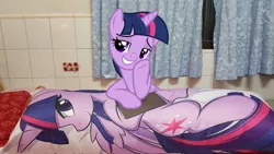 Size: 5312x2988 | Tagged: safe, artist:theparagon, derpibooru import, twilight sparkle, twilight sparkle (alicorn), alicorn, pony, the saddle row review, absurd resolution, body pillow, female, irl, mare, photo, ponies in real life, smiling, smuglight sparkle, ungrounded socket, vector