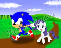Size: 1500x1200 | Tagged: artist:phantomshadow051, crossover, crossover shipping, derpibooru import, downvote bait, female, interspecies, male, rarisonic, rarity, safe, shipping, sonic the hedgehog, sonic the hedgehog (series), straight, watermark