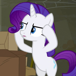 Size: 505x504 | Tagged: safe, derpibooru import, edit, edited screencap, screencap, rarity, pony, unicorn, the saddle row review, animated, bipedal, caption, confused, eyelashes, eyeshadow, female, frown, image macro, makeup, mare, meme, open mouth, reaction image, solo focus, text, wat
