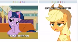 Size: 511x278 | Tagged: safe, derpibooru import, applejack, twilight sparkle, twilight sparkle (alicorn), alicorn, pony, derpibooru, the saddle row review, exploitable meme, female, juxtaposition, juxtaposition win, mare, meme, meta, screenshots, vulgar