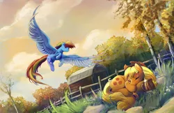 Size: 2000x1294 | Tagged: safe, artist:viwrastupr, derpibooru import, applejack, rainbow dash, earth pony, pegasus, pony, autumn, backwards cutie mark, barn, cider, duo, eyes closed, female, flying, grass, hat, large wings, mare, scenery, sleeping, smiling, spread wings, tree