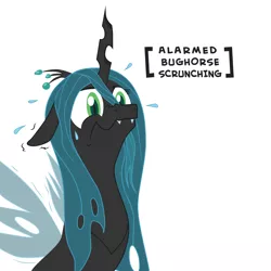 Size: 2000x2000 | Tagged: artist:hotkinkajou, artist:lalieri, colored, cute, cutealis, derpibooru import, descriptive noise, frown, horse noises, meme, /mlp/, nervous, nose wrinkle, queen chrysalis, reaction image, safe, scrunchy face, shivering, simple background, solo, sweat, vector, wavy mouth, white background, wide eyes