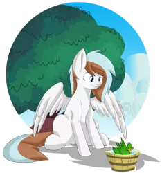 Size: 864x924 | Tagged: safe, artist:chub-wub, derpibooru import, oc, oc:waffles, unofficial characters only, duck, pegasus, pony, bucket, simple background, solo, tree