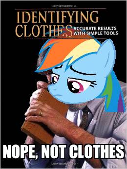 Size: 260x344 | Tagged: captain obvious, derpibooru import, identifying wood, meme, not clothes, parody, rainbow dash, safe, the saddle row review