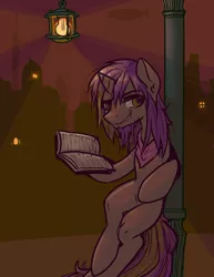 Size: 1280x1656 | Tagged: safe, artist:inlucidreverie, derpibooru import, oc, unofficial characters only, pony, unicorn, roan rpg, bipedal, bipedal leaning, book, city, cityscape, facial hair, lamp, lamppost, leaning, smiling, solo