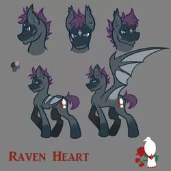 Size: 1800x1800 | Tagged: safe, artist:halfway-to-insanity, derpibooru import, oc, oc:raven heart, unofficial characters only, bat pony, pony, ear piercing, flower, markings, piercing, reference sheet, rose, scar, solo