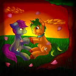 Size: 5000x5000 | Tagged: absurd resolution, artist:luv4horsez, cherry blossoms, cutie mark, derpibooru import, eye contact, fluffy, gay, love, male, oc, oc:circuit blade, oc:sweetheart swirl, safe, sunset, unofficial characters only, unshorn fetlocks