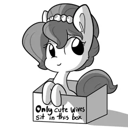 Size: 792x792 | Tagged: safe, artist:tjpones, derpibooru import, oc, oc:brownie bun, unofficial characters only, pony, horse wife, box, cardboard box, cute, monochrome, ocbetes, pony in a box, simple background, smiling, solo, truth, white background