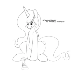 Size: 1280x1280 | Tagged: safe, artist:quarantinedchaoz, derpibooru import, princess celestia, twilight sparkle, twilight sparkle (alicorn), alicorn, pony, dialogue, looking at each other, looking down, looking up, macro, missing accessory, monochrome, open mouth, sitting, size difference, smiling