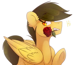 Size: 1024x898 | Tagged: safe, artist:starlyflygallery, derpibooru import, oc, unofficial characters only, pegasus, pony, dialogue, flower, flower in mouth, mouth hold, rose, simple background, solo, transparent background