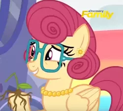 Size: 454x411 | Tagged: safe, derpibooru import, screencap, posey shy, pony, flutter brutter, discovery family logo