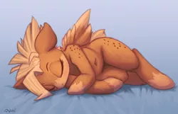 Size: 1280x822 | Tagged: safe, artist:qweeli, artist:transgressors-reworks, color edit, derpibooru import, edit, oc, oc:ruby rustfeather, unofficial characters only, pegasus, pony, belly button, colored, eyes closed, female, side, sketch, sleeping, solo