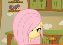 Size: 1569x1125 | Tagged: safe, derpibooru import, screencap, fluttershy, pony, flutter brutter, discovery family logo, solo