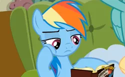 Size: 707x436 | Tagged: safe, derpibooru import, screencap, ahuizotl, rainbow dash, zephyr breeze, pony, flutter brutter, book, daring do and the ring of destiny, discovery family logo