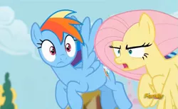 Size: 707x436 | Tagged: safe, derpibooru import, screencap, fluttershy, rainbow dash, pony, flutter brutter, assertive, discovery family logo, flying, peeved