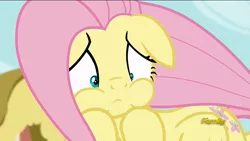 Size: 1920x1080 | Tagged: safe, derpibooru import, screencap, fluttershy, pony, flutter brutter, discovery family logo, puffy cheeks, solo