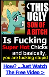 Size: 255x403 | Tagged: suggestive, derpibooru import, edit, edited screencap, screencap, zephyr breeze, pegasus, pony, flutter brutter, advertisement, fake ad, male, meme, porn ads, solo, stallion, text, this ugly son of a bitch, vulgar