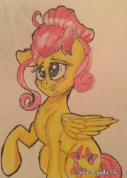 Size: 2196x3072 | Tagged: alternate hairstyle, artist:snowfoxythefox, blushing, chest fluff, colored pencil drawing, cute, derpibooru import, flutter brutter, fluttershy, hair bun, messy bun, safe, shyabetes, solo, traditional art