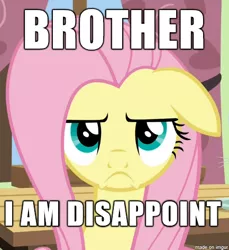 Size: 433x473 | Tagged: caption, derpibooru import, dialogue, edit, edited screencap, flutter brutter, fluttershy, i am disappoint, image macro, meme, safe, screencap