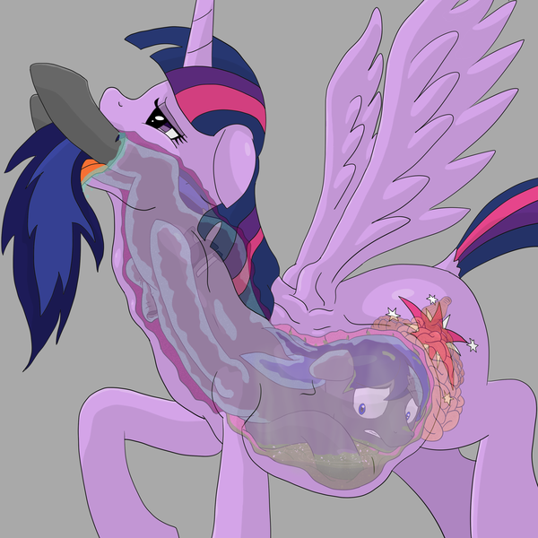 Size: 2500x2500 | Tagged: questionable, semi-grimdark, artist:dudey64, derpibooru import, twilight sparkle, twilight sparkle (alicorn), oc, alicorn, earth pony, pony, belly, digestion, female, fetish, imminent death, internal, mare, oral vore, same size vore, stomach acid, throat bulge, transparent flesh, twipred, vore, x-ray