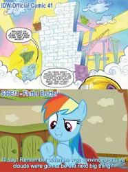 Size: 1342x1808 | Tagged: safe, artist:andypriceart, derpibooru import, idw, screencap, plumb bob, rainbow dash, tank, pony, flutter brutter, spoiler:comic, spoiler:comic41