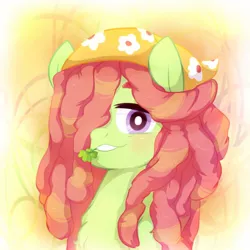 Size: 1000x1000 | Tagged: safe, artist:undery, derpibooru import, tree hugger, earth pony, pony, blushing, bust, chest fluff, clover, female, four leaf clover, hair over one eye, looking at you, mare, mouth hold, portrait, smiling, solo