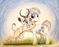 Size: 1004x796 | Tagged: safe, artist:thefriendlyelephant, derpibooru import, double diamond, oc, oc:mmiri, antelope, earth pony, pony, springbok, animal in mlp form, cloven hooves, commission, duo, grass, horns, hug, traditional art