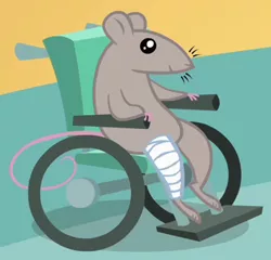 Size: 368x353 | Tagged: safe, derpibooru import, screencap, mr. mousey, mouse, pony, a bird in the hoof, bandaged leg, cropped, solo, wheelchair