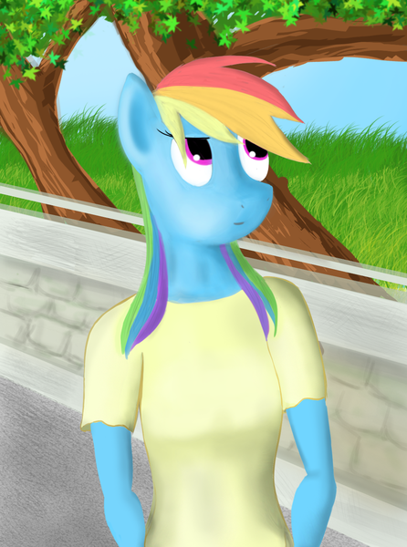 Size: 1080x1452 | Tagged: anthro, artist:animerge, derpibooru import, rainbow dash, safe, solo, wingless, wingless anthro