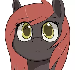 Size: 1400x1300 | Tagged: artist:hypno, bust, derpibooru import, head only, oc, oc:scarlet berry, portrait, red mane, safe, solo, unofficial characters only, yellow eyes