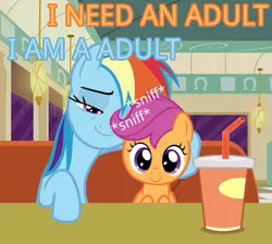 Size: 759x681 | Tagged: safe, derpibooru import, edit, rainbow dash, scootaloo, pony, the saddle row review, blue text, diner, dragon ball z, dragonball z abridged, faic, female, filly, i am an adult, i need an adult, image macro, interview, lesbian, mare, meme, orange text, scootadash, shipping, smug, smugdash, sniffing