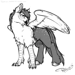 Size: 2000x2000 | Tagged: artist:phathusa, classical hippogriff, derpibooru import, female, grayscale, hippogriff, monochrome, oc, oc:glace plume, quadrupedal, safe, simple background, solo, unofficial characters only, white background